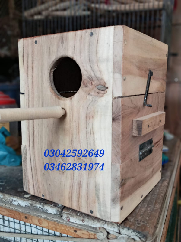 Lovebirds Keekar Box New