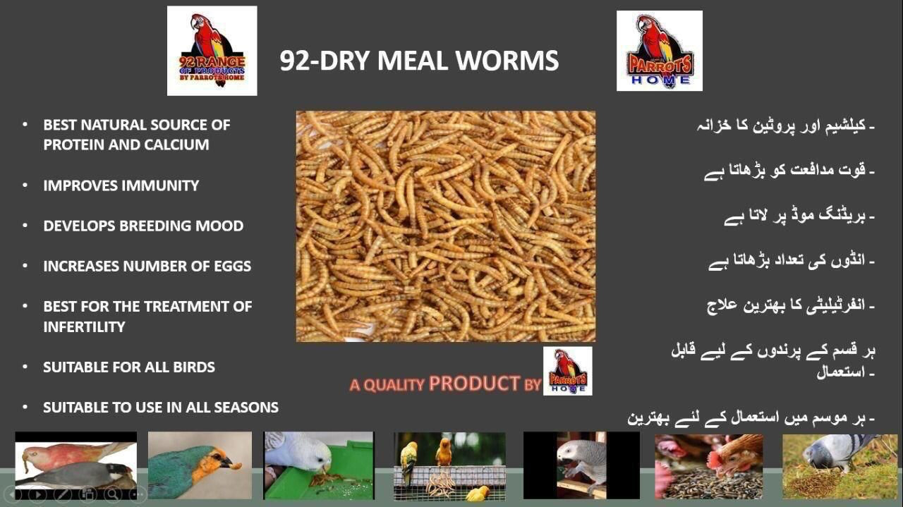 Dry Meal Worms 50 Grams