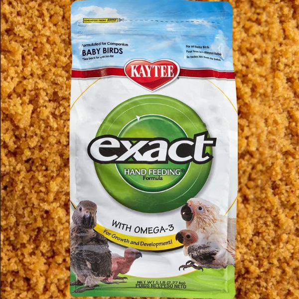 Exact parrot hot sale food