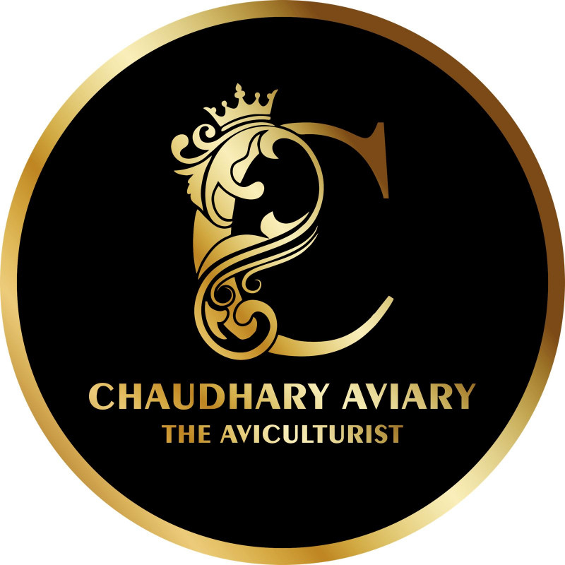 Chaudhary Aviary