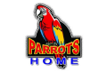 Parrots Home