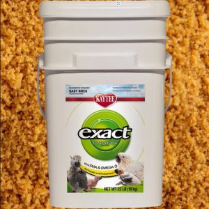 Kaytee Exact Hand Feeding Formula for All Baby Birds 10KG