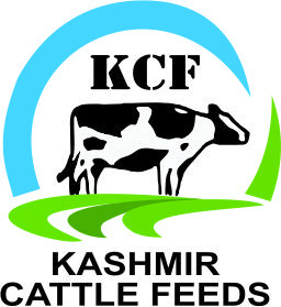 Kashmir Cattle Feeds