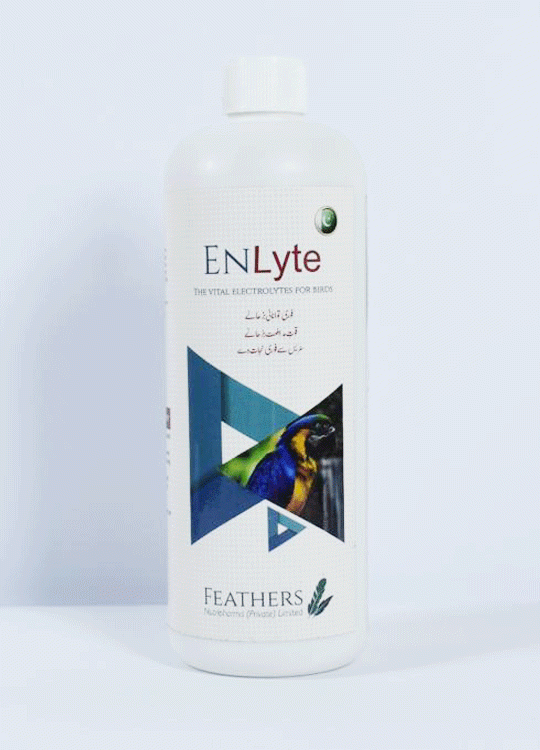 Enlyte