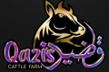 Qazis Cattle farm