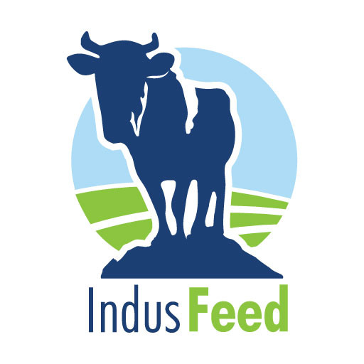Indus Cattle Feed
