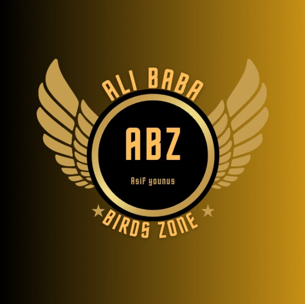 Ali Baba Bird Zone