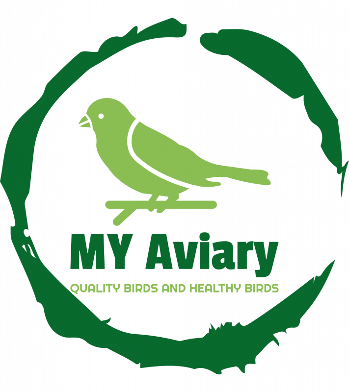 MY Aviary
