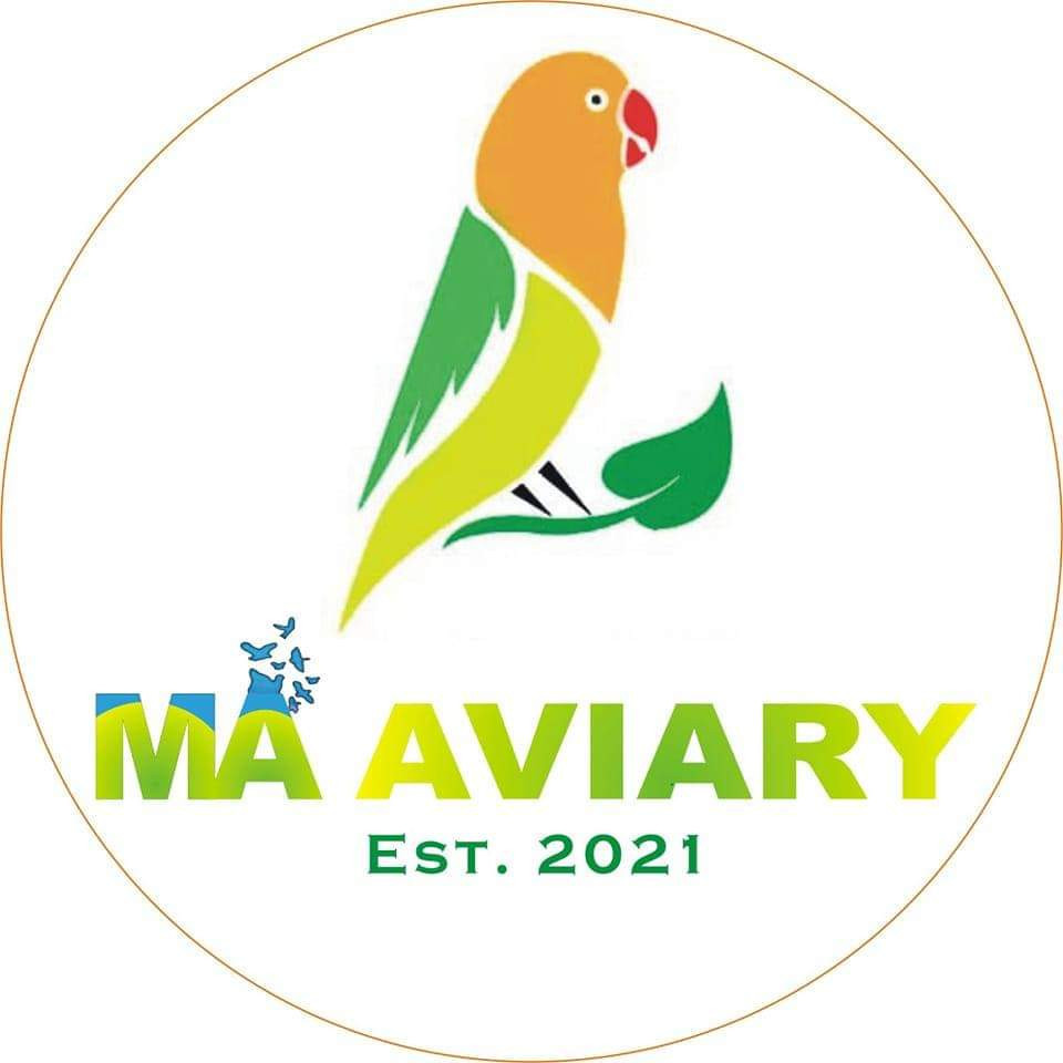 MA Aviary