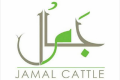 Jamal Cattle Farm