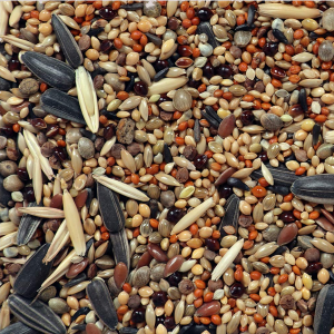 Seed Mix for all Birds